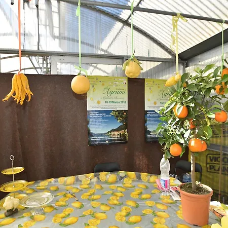 Spacious Retreat In Cannero