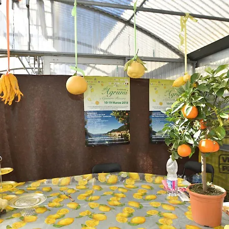 Spacious Retreat In Cannero קנרו ריביירה