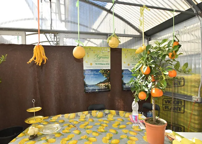 Spacious Retreat In Cannero