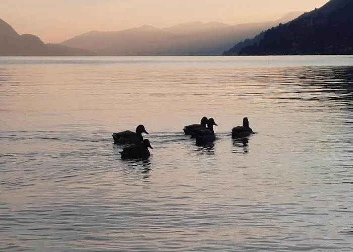 Semesterbostad Spacious Retreat In Cannero *